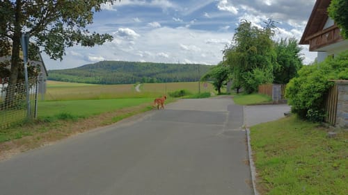 Schwandorf: Hartenricht - Spielberg