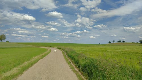 Schwandorf: Hartenricht - Spielberg