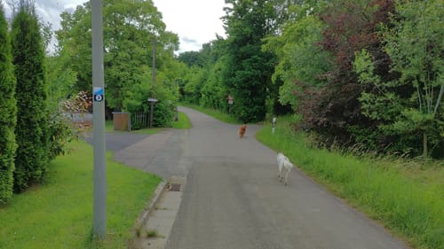 Schwandorf: Hartenricht - Spielberg