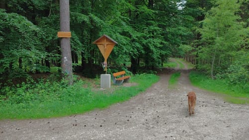 Schwandorf: Hartenricht - Spielberg