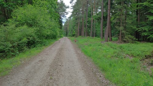 Schwandorf: Hartenricht - Spielberg