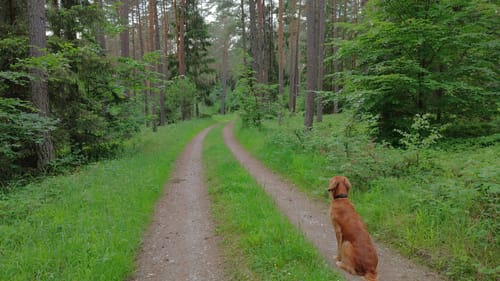 Schwandorf: Hartenricht - Spielberg