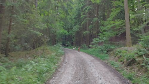 Schwandorf: Hartenricht - Spielberg