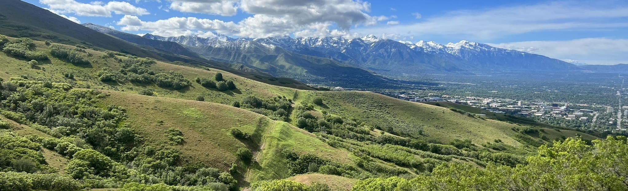 Terrace Hills East, Valley View, and Bobsled Trail, Utah 126 Reviews