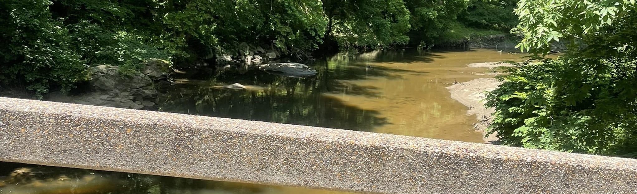 Valley, Pine, Holly, Dim, and Western Ridge Trail Loop 307 Fotos