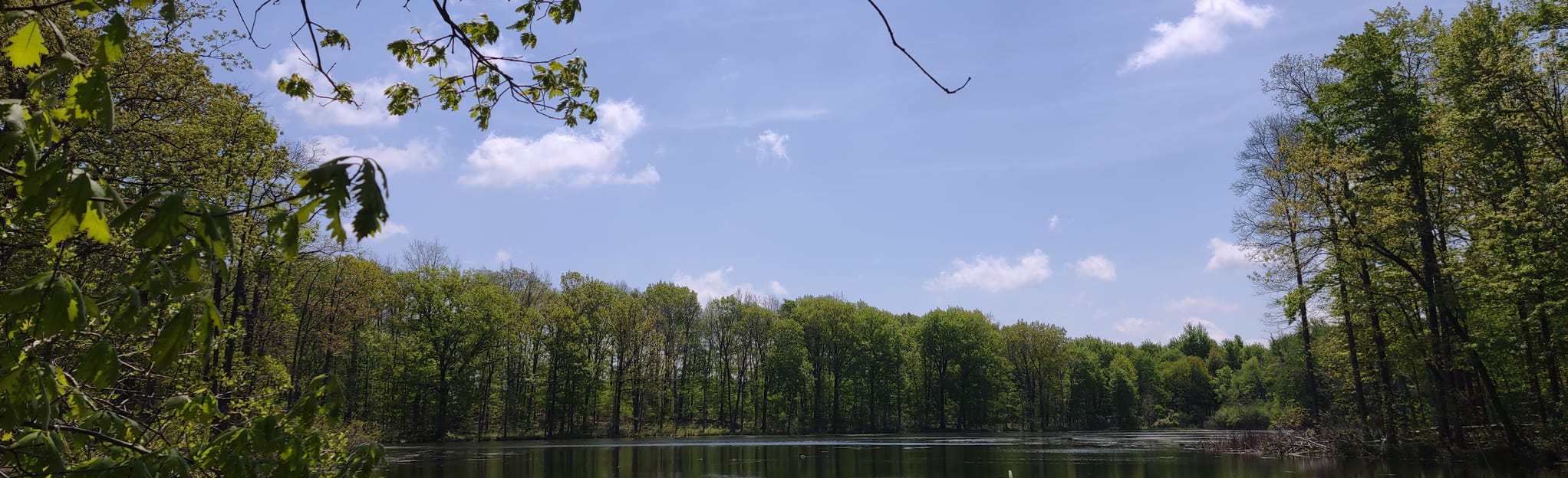 Seneca Ponds Loop 126 Reviews, Map Ohio AllTrails