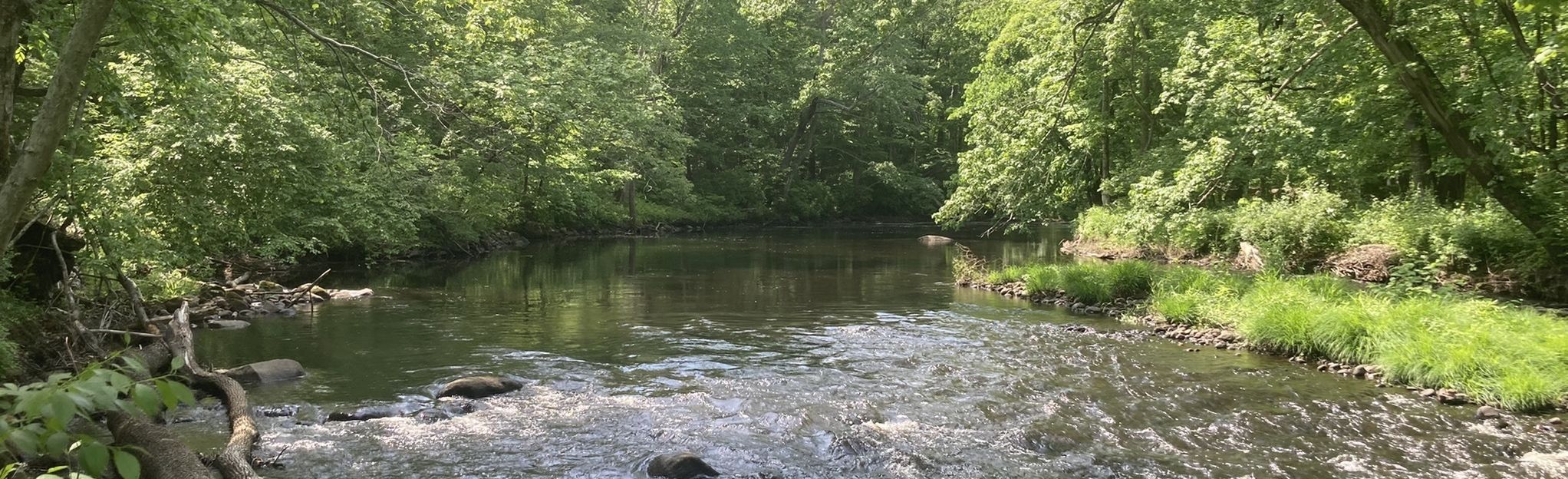 Willimantic River Trail, Connecticut - 15 Reviews, Map | AllTrails