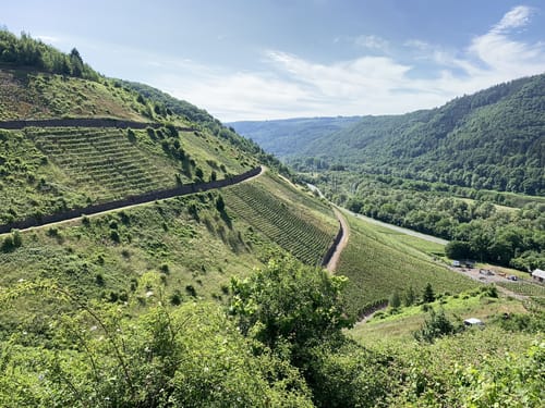 Moselsteig Etappe 17: Ediger-Eller - Beilstein