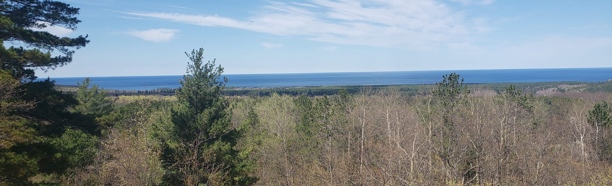 Top of the World via Beagle Club Road and Jedi Trail Loop 60 Reviews