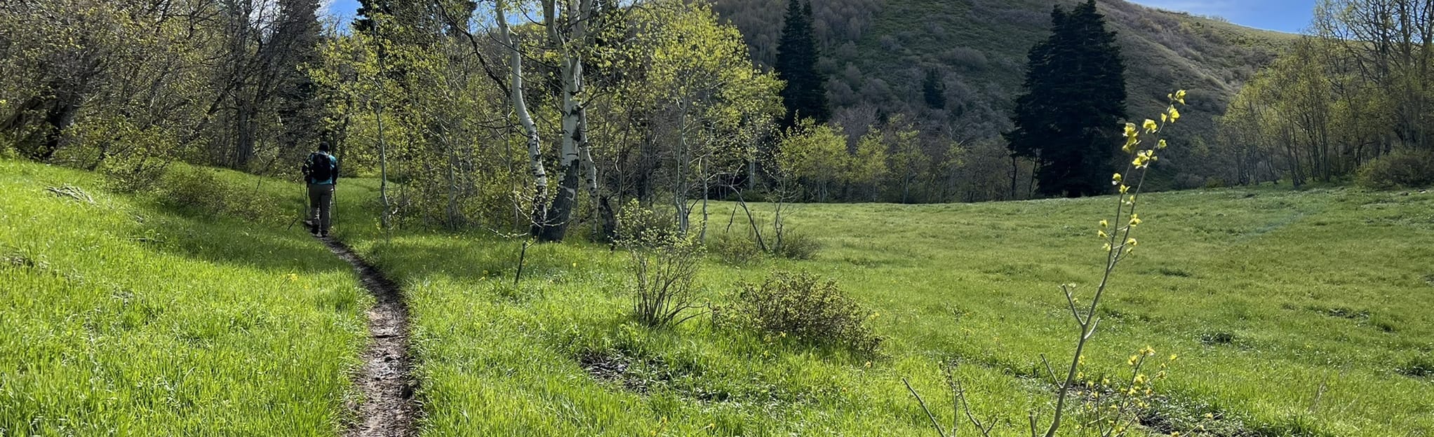 Maple Canyon Left Fork Trail: 173 Reviews, Map - Utah | AllTrails