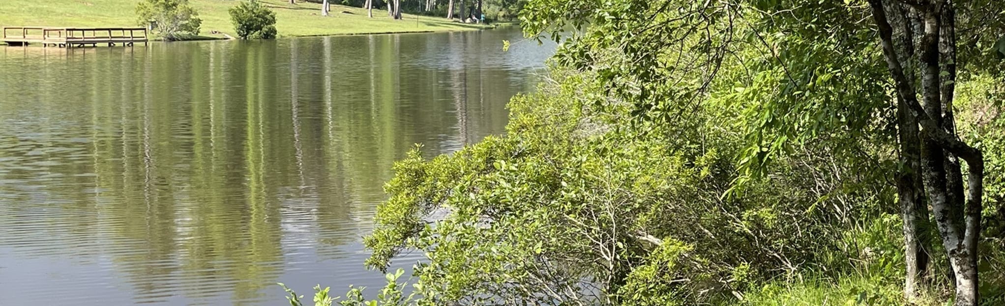 Ellerslie Park Loop, 88 Reviews, Map AllTrails