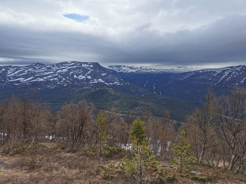 Best 10 Hikes and Trails in Junkerdal National Park | AllTrails