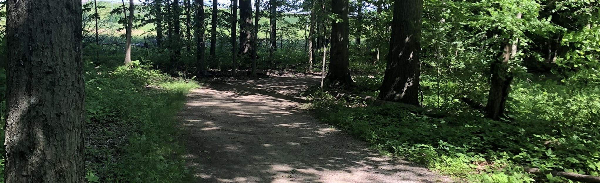 Liberty Park Loop, Ohio 102 Reviews, Map AllTrails