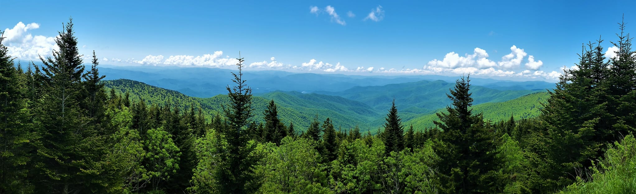 Forney Ridge Trail to Clingmans Dome Loop: 494 Reviews, Map - North ...