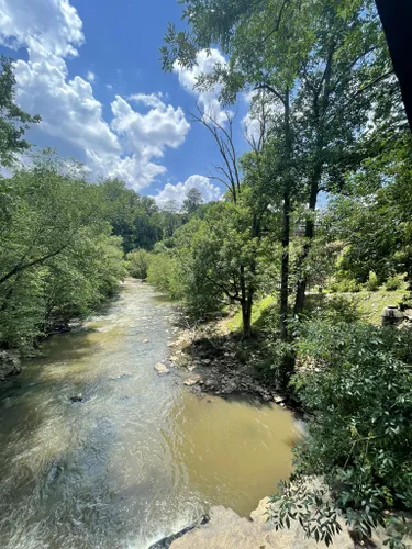 10 Best Trails and Hikes in Georgia | AllTrails