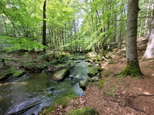 Höllbachweg