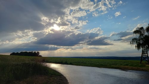 Rundweg Oberwald