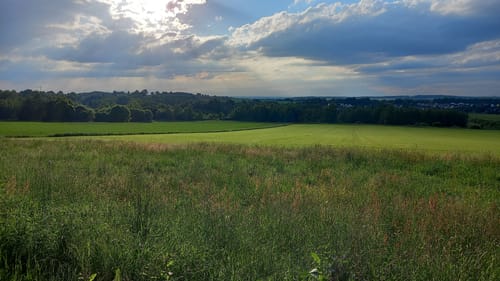 Rundweg Oberwald