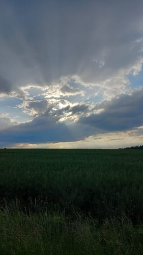 Rundweg Oberwald