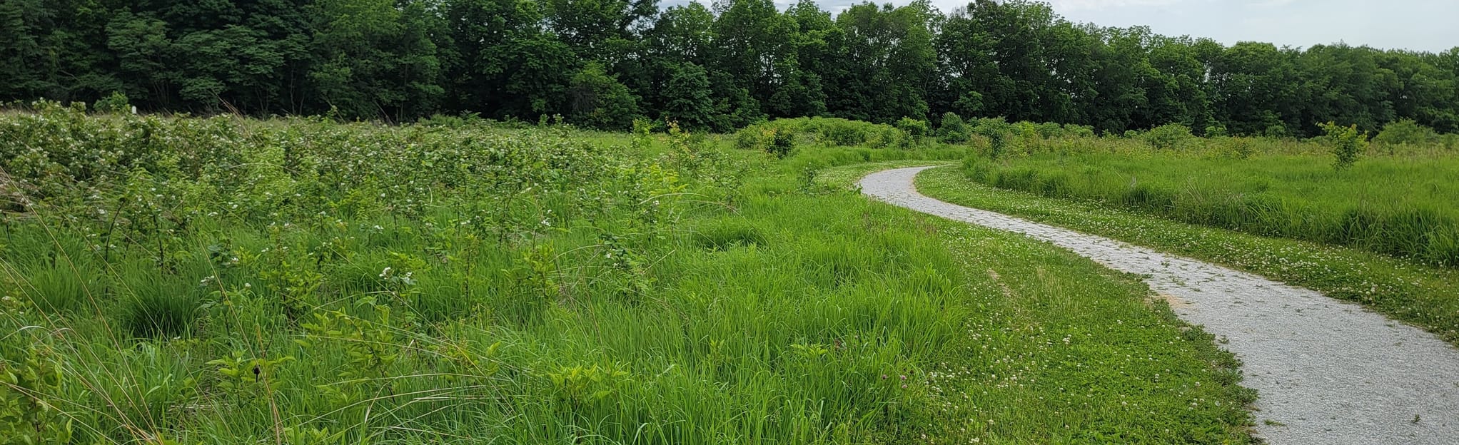White River Greenway Loop Map, Guide Indiana AllTrails
