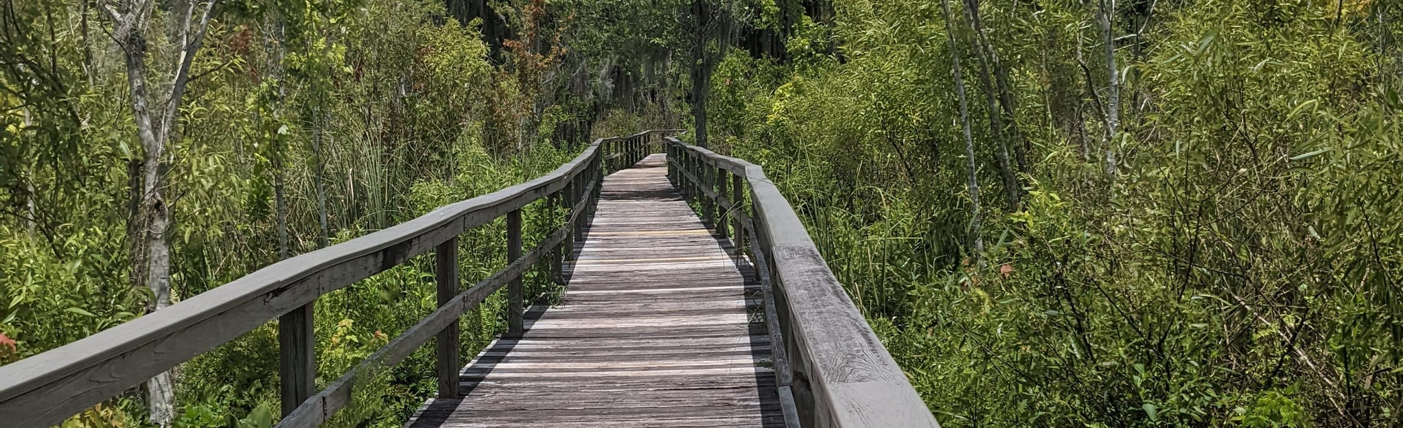 Trout Lake Nature Center Loop 50 Reviews, Map Florida AllTrails