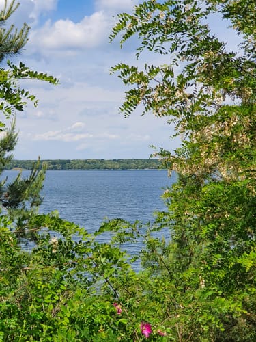 Um den Dreiweiberner See