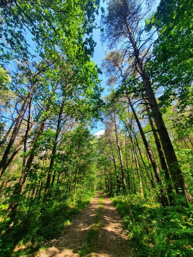Naturlehrpfad Caßlauer Wiesenteiche