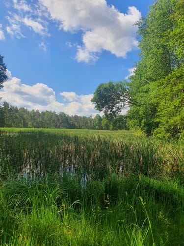 Naturlehrpfad Caßlauer Wiesenteiche