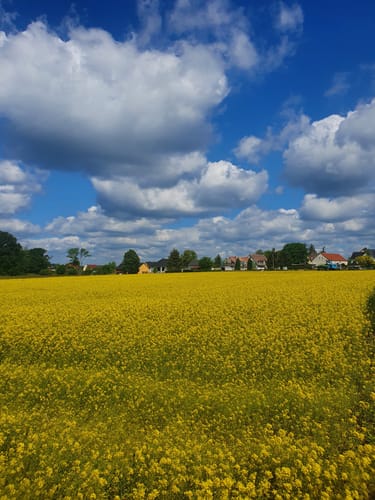 Naturlehrpfad Caßlauer Wiesenteiche