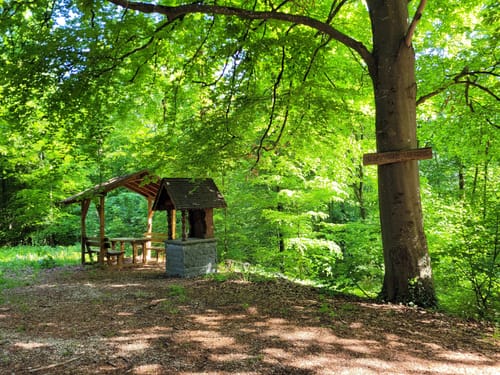 Albsteig (HW1) Etappe 4: Bopfingen - Aalen-Unterkochen