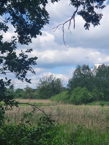 Naturlehrpfad Caßlauer Wiesenteiche