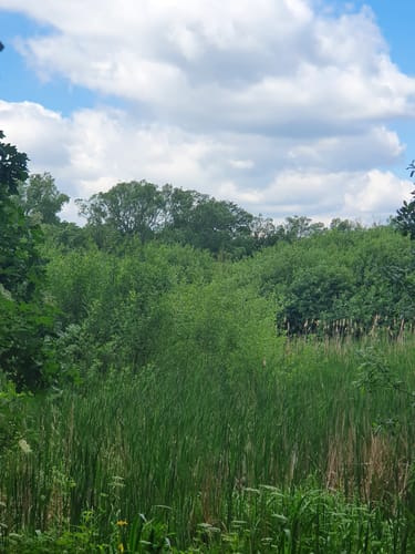 Naturlehrpfad Caßlauer Wiesenteiche