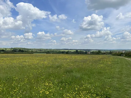 10-best-walking-trails-in-helmsley-alltrails