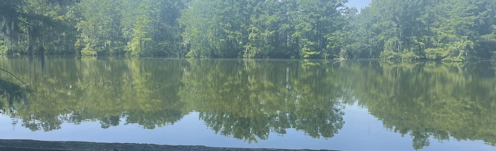 Greenfield Lake Park Trail, North Carolina - 570 Reviews, Map | AllTrails