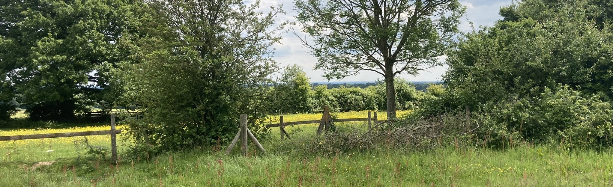 Millennium Way Burton Green and Beechwood, Warwickshire, England 21
