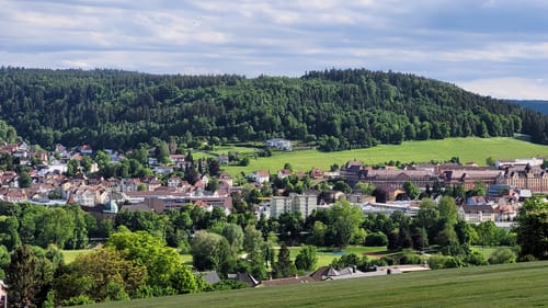 Albsteig (HW1) Etappe 16:  Risiberg (Dürbheim) - Tuttlingen