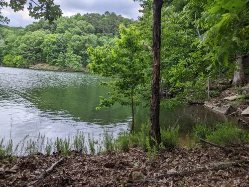 10 Best Hikes and Trails in Hobbs State Park Conservation Area