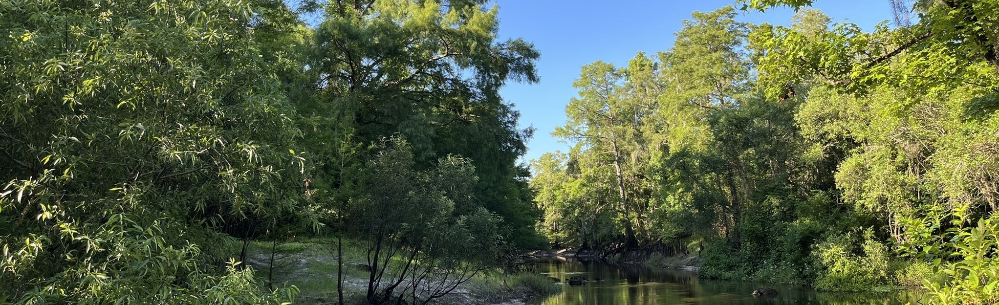 Withlacoochee River Trail: 120 Reviews, Map - Florida | AllTrails