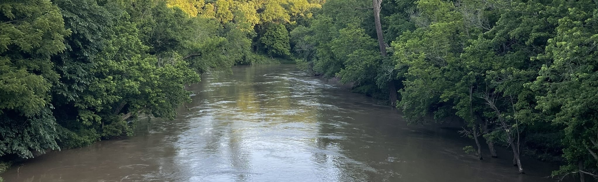 Pathfinder Parkway Jo Allyn Lowe Park to Johnstone Park 11 Reviews