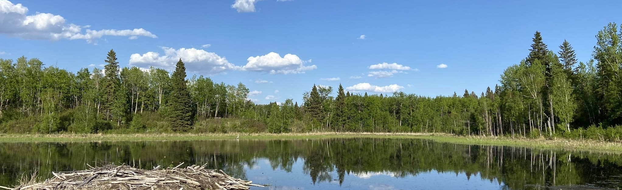 Amisk Wuche Trail, Alberta, Canada 419 Reviews, Map AllTrails