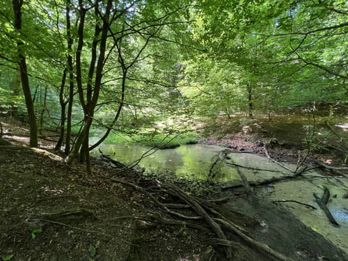 Romantisches Furlbachtal
