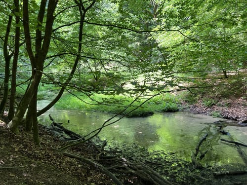 Romantisches Furlbachtal
