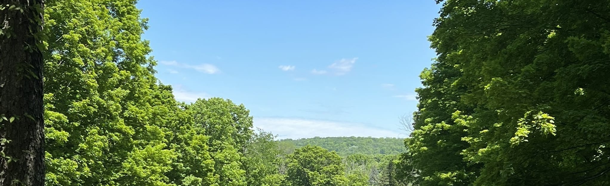 Pond Mountain and Fuller Pond Loop, Connecticut 156 Reviews, Map