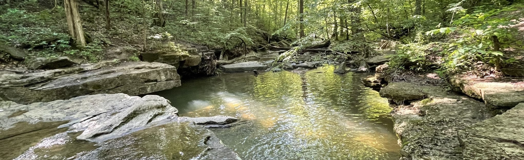 Nine Penny Branch Loop 739 foto's Indiana AllTrails