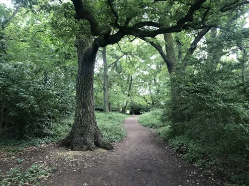 10 Best Trails and Hikes in Waltham Forest | AllTrails