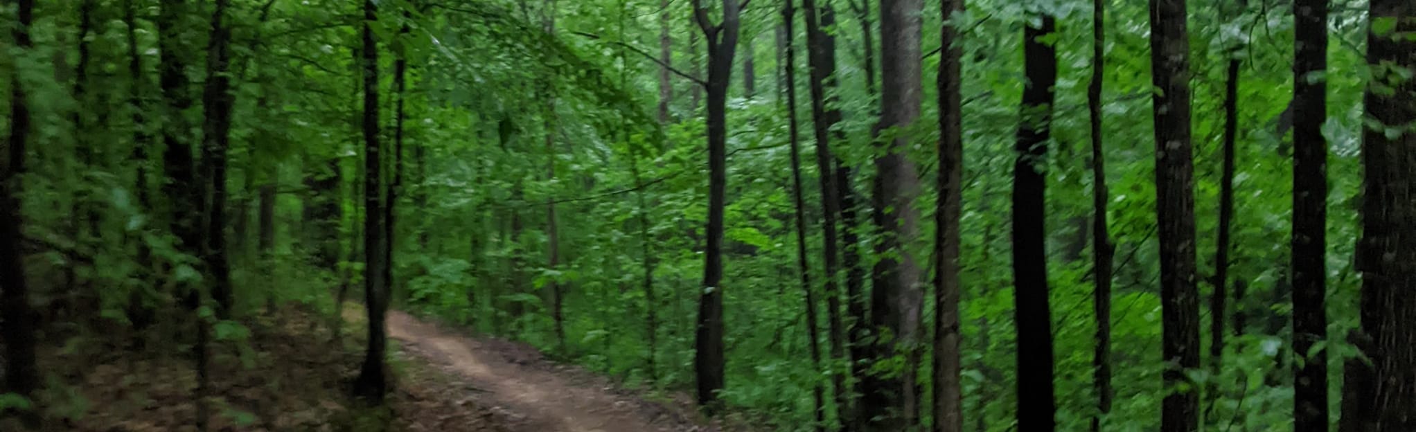 Bear and Grizzly Mountain Bike Trail AllTrails