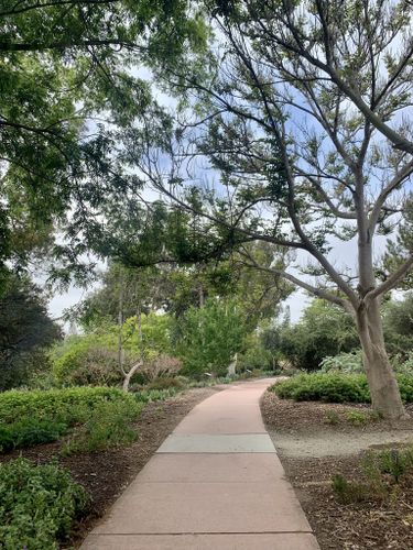 are dogs allowed in balboa park hiking trails