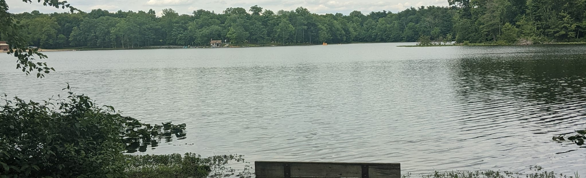 Lake Lincoln Trail 1, Indiana 302 Reviews, Map AllTrails