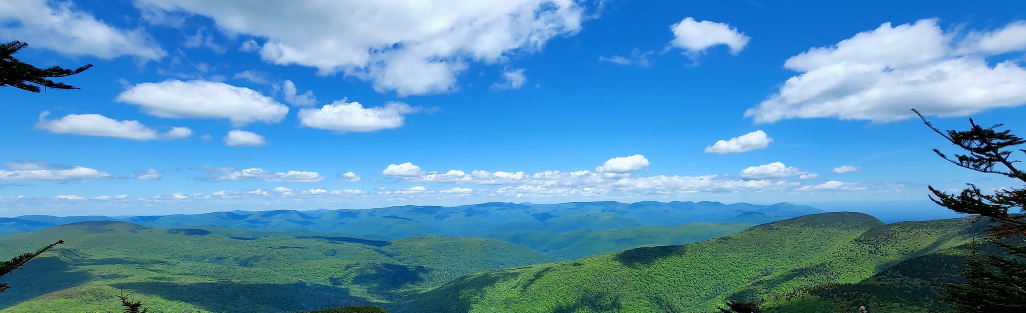 Slide Mountain Trail, New York 1,532 Reviews, Map AllTrails