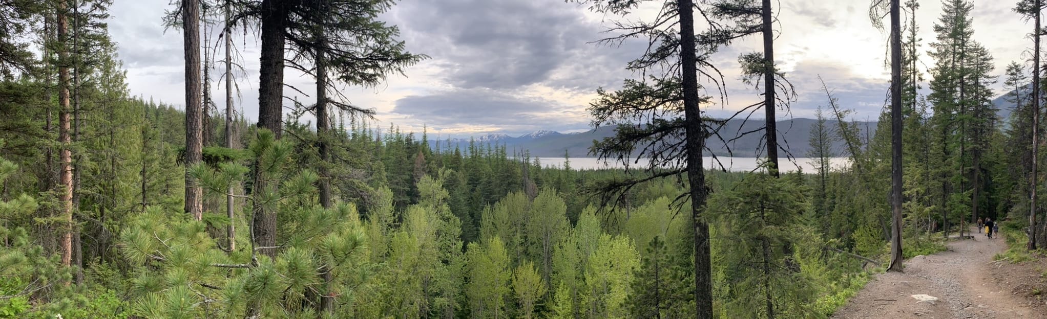 Snyder Lake Trail 448 Reviews, Map Montana AllTrails